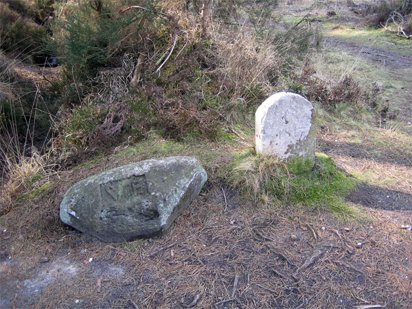 File:Memorial Stones, Wareham Forest - geograph.org.uk - 160921.jpg