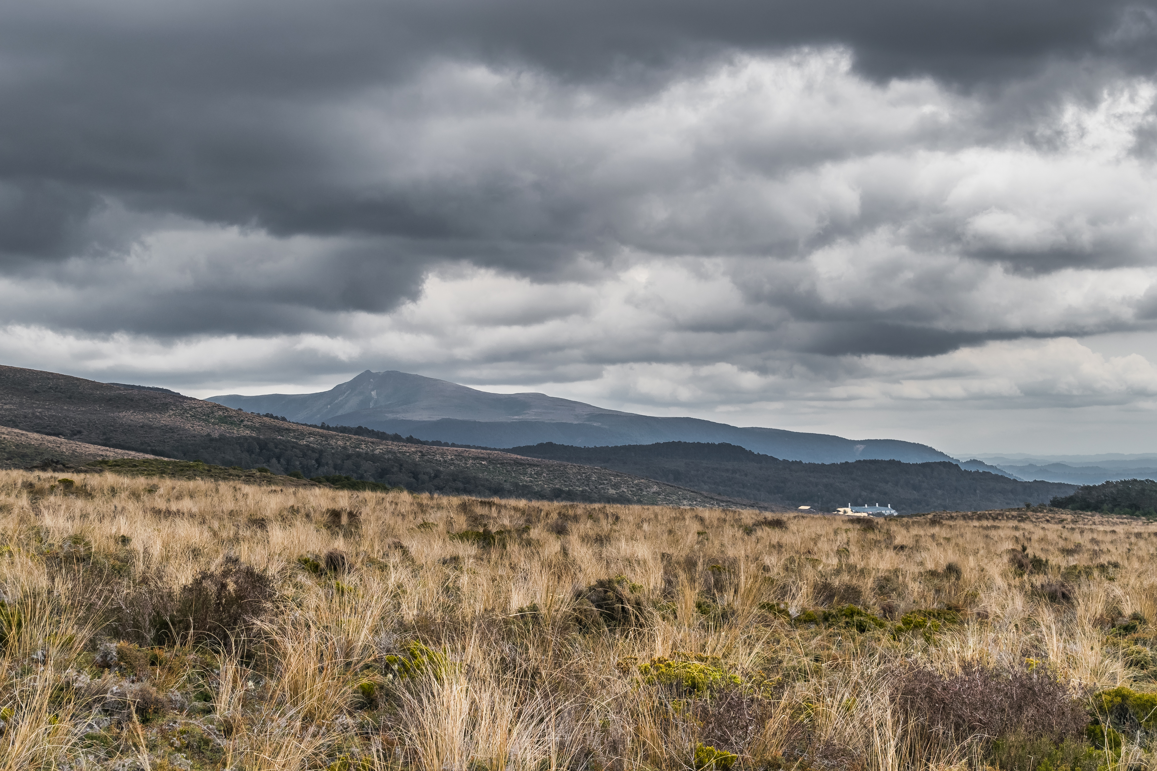 Mount Ruapehu лыжные поля