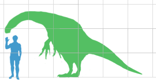 Nanshiungosaurus scale.png