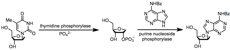 NucleoAlt2.png