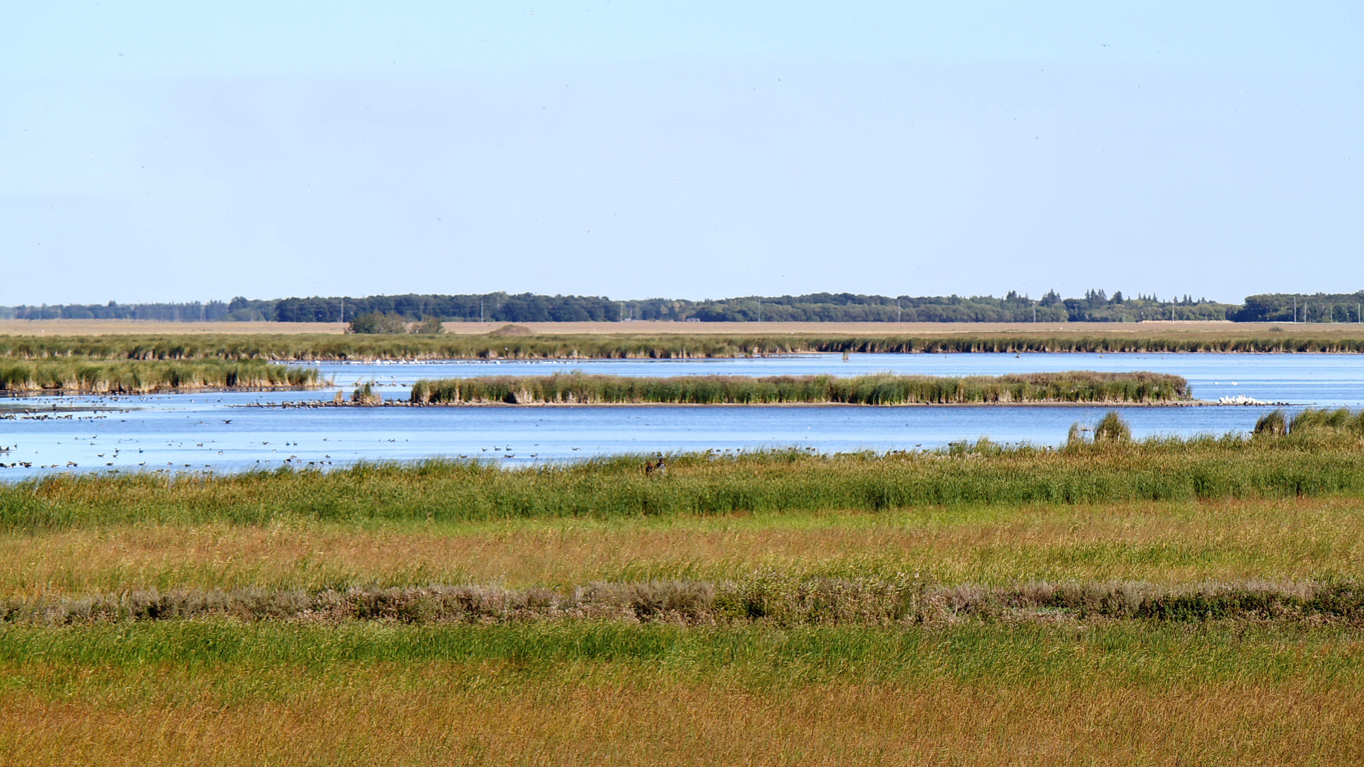 What is a fen? — Ducks Unlimited Canada