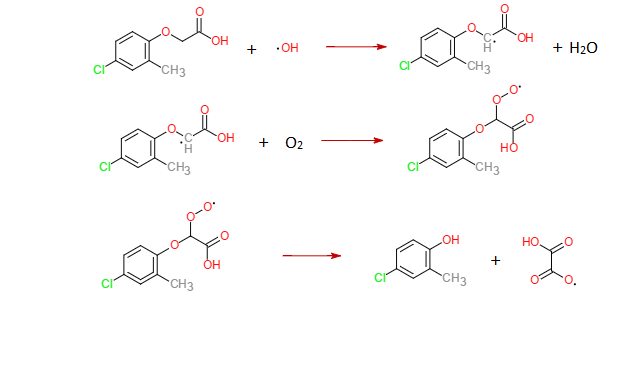 File:Oxidation of MCPA by hydroxyl radicals.png