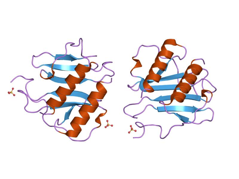 File:PDB 1qe6 EBI.jpg