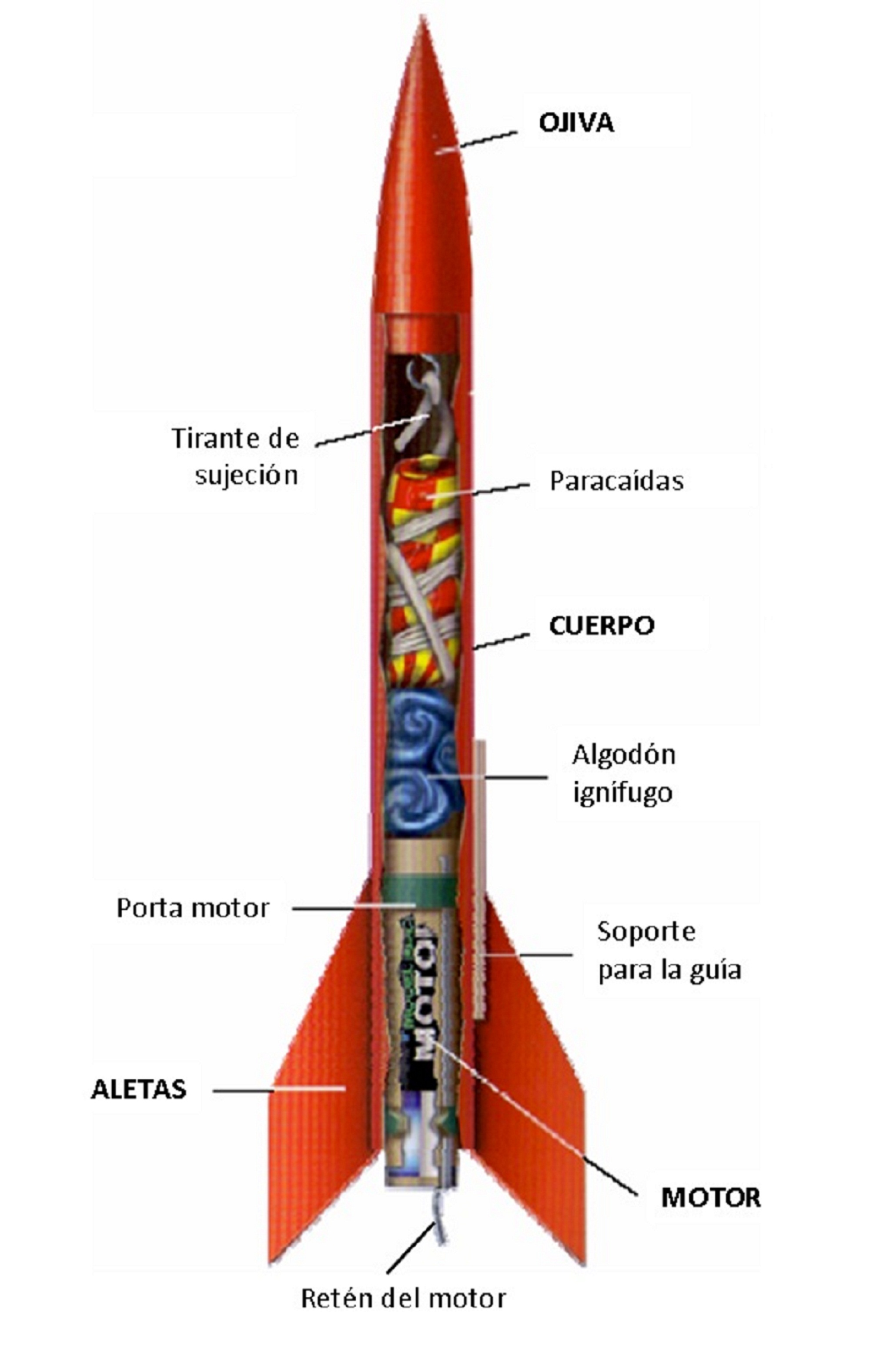 File:Partes Basicas Modelo  - Wikimedia Commons