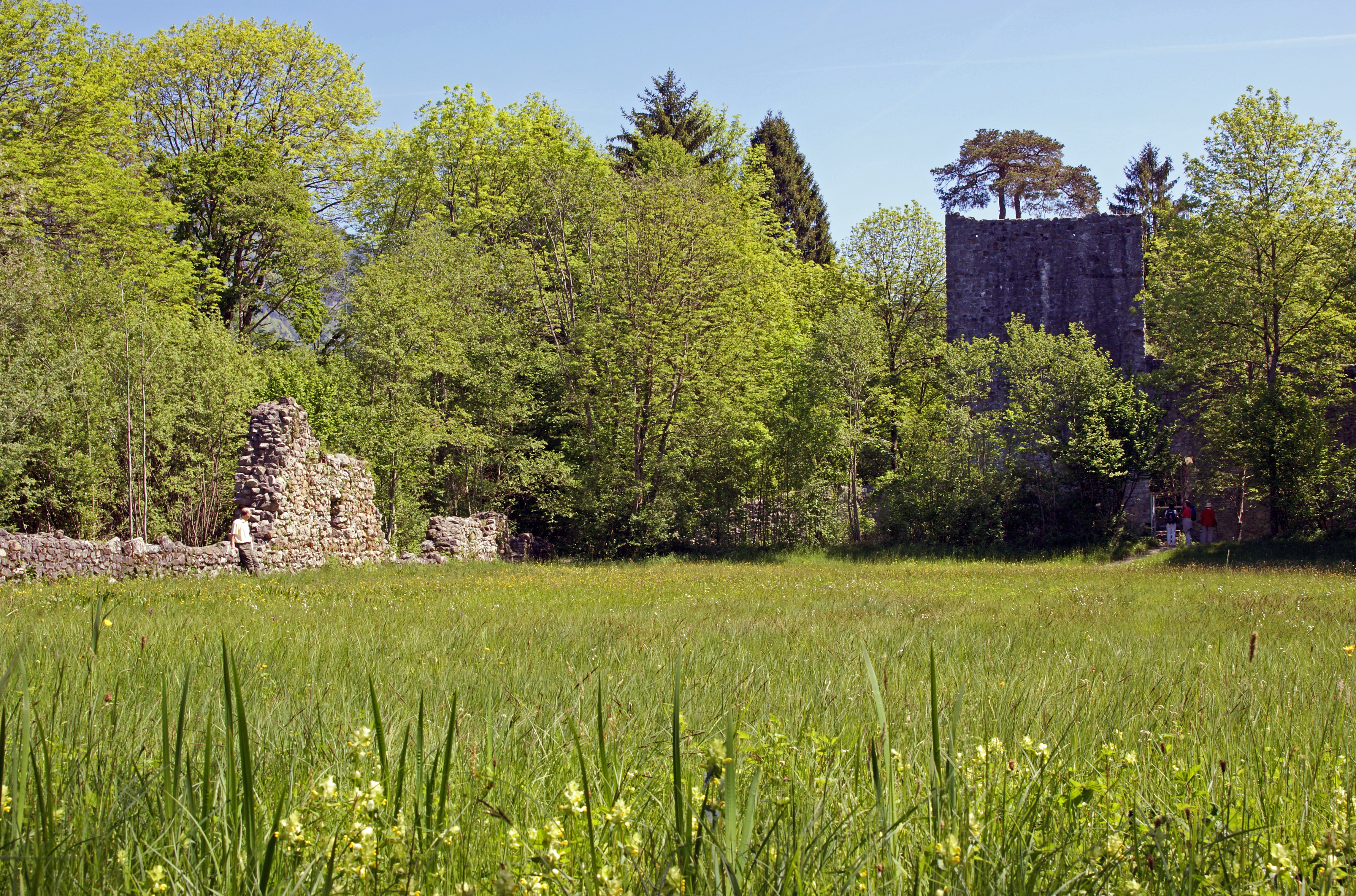 Photo of Ruine Weissenau