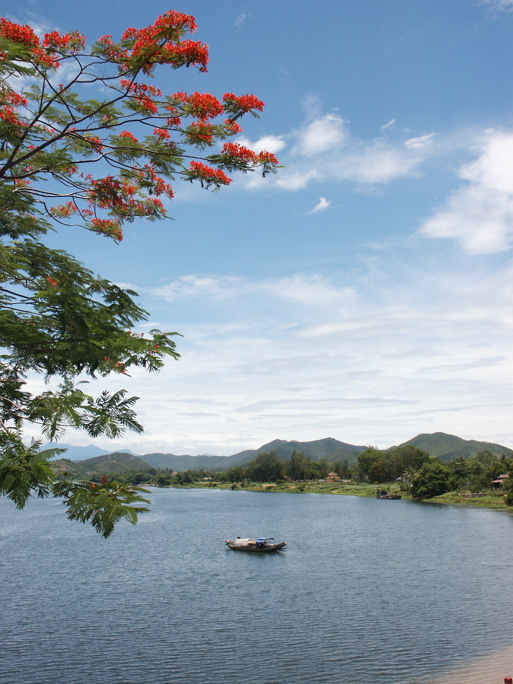 Sông Hương hoa phượng - nổi tiếng với khung cảnh xinh đẹp của hoa phượng rực rỡ và dòng sông bình yên. Hãy thưởng thức hình ảnh này để cảm nhận sự êm đềm và thanh bình trong cuộc sống.