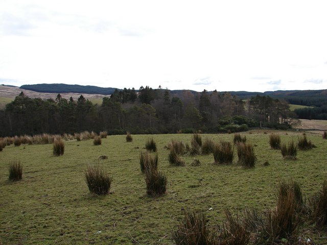 File:Scheil Hill, Barlay - geograph.org.uk - 734648.jpg