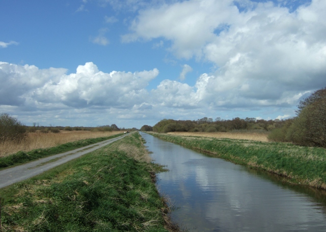 Shapwick Heath - geograph.org.uk - 1248708