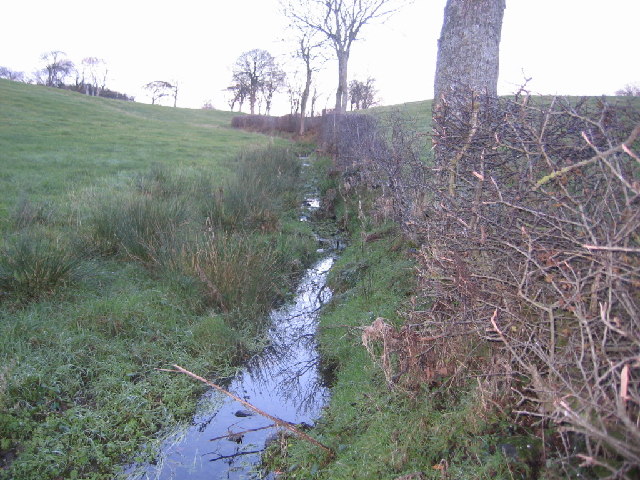 File:Small stream in hollow. - geograph.org.uk - 84119.jpg