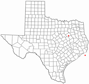 Richland, Texas Town in Texas, United States