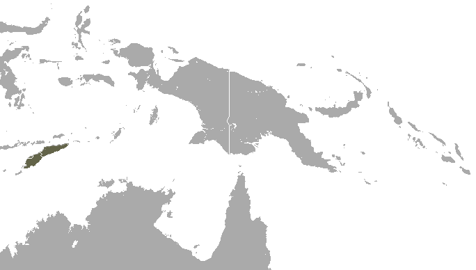 File:Timor Shrew area.png