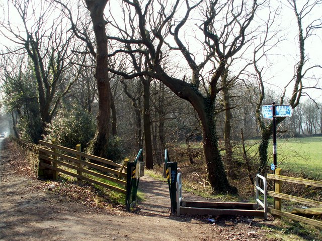 Trans Pennine Trail to Meadowhall - geograph.org.uk - 385157