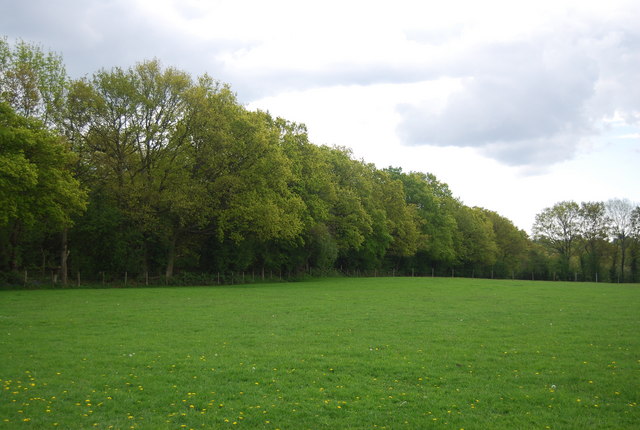 Woodland edge, Fletching Common - geograph.org.uk - 1953135