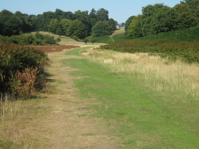 File:A ride to Knole Park - geograph.org.uk - 1451409.jpg