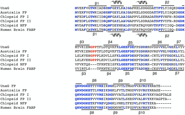 File:Adaptive-Evolution-of-Eel-Fluorescent-Proteins-from-Fatty-Acid-Binding-Proteins-Produces-Bright-pone.0140972.g005.jpg