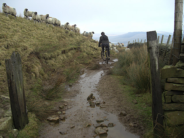 File:Bridleway across Pendle Side (2) - geograph.org.uk - 1141658.jpg