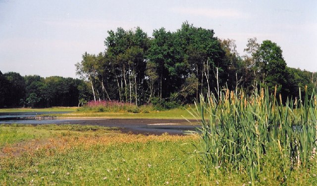 Brown Moss Nature Reserve - geograph.org.uk - 82584