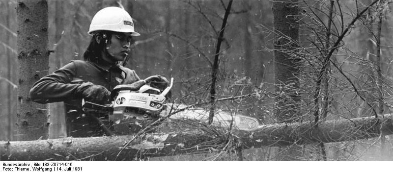 File:Bundesarchiv Bild 183-Z0714-016, Eibenstock, Auszubildender zum Forstarbeiter.jpg