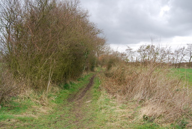 File:Byway heading North - geograph.org.uk - 1208881.jpg