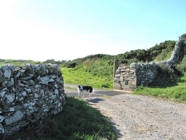 File:Cattle grid looking west - geograph.org.uk - 1536885.jpg