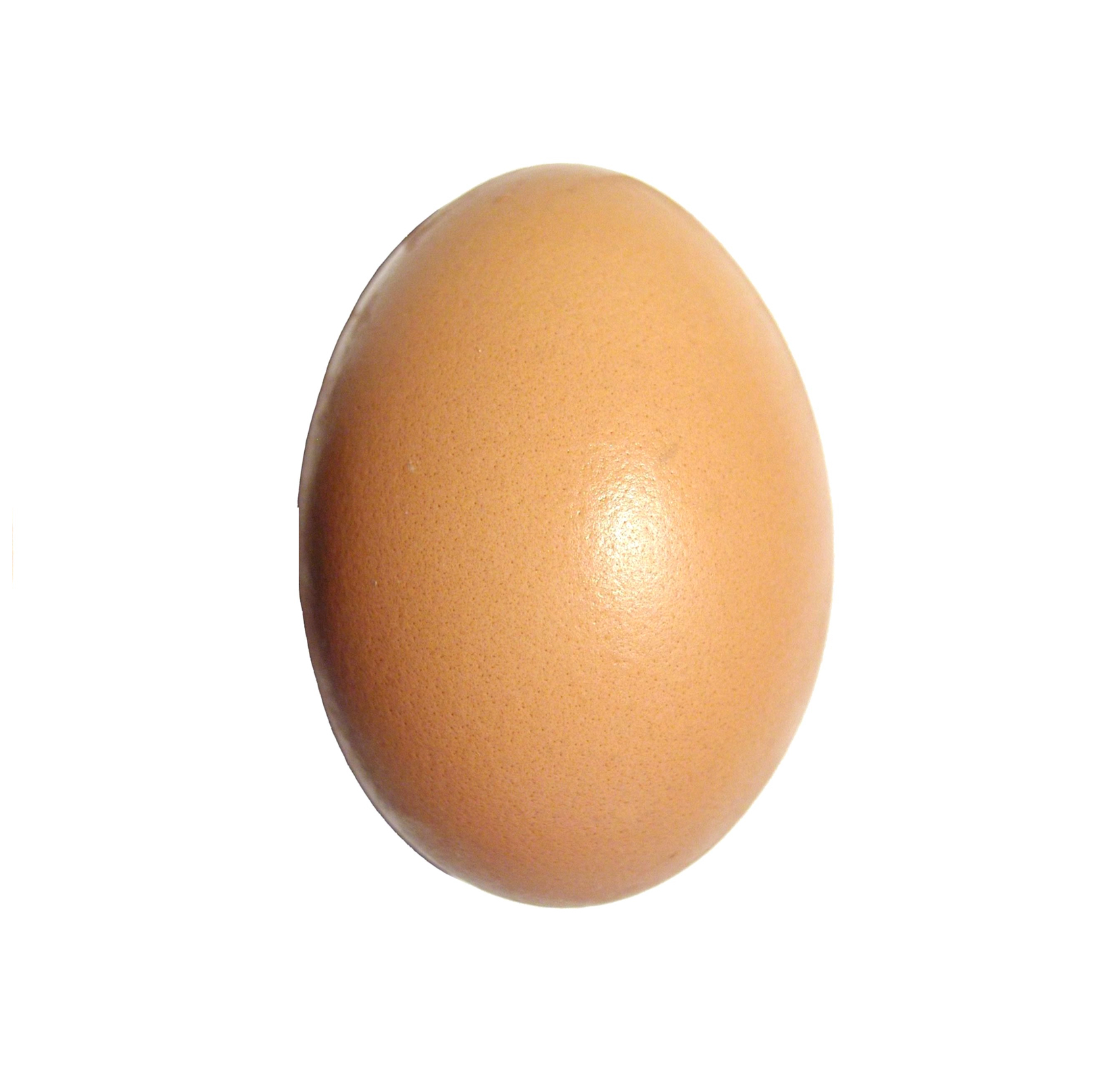 Image result for egg