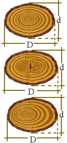 File:Ellipse log defect beentree.jpg