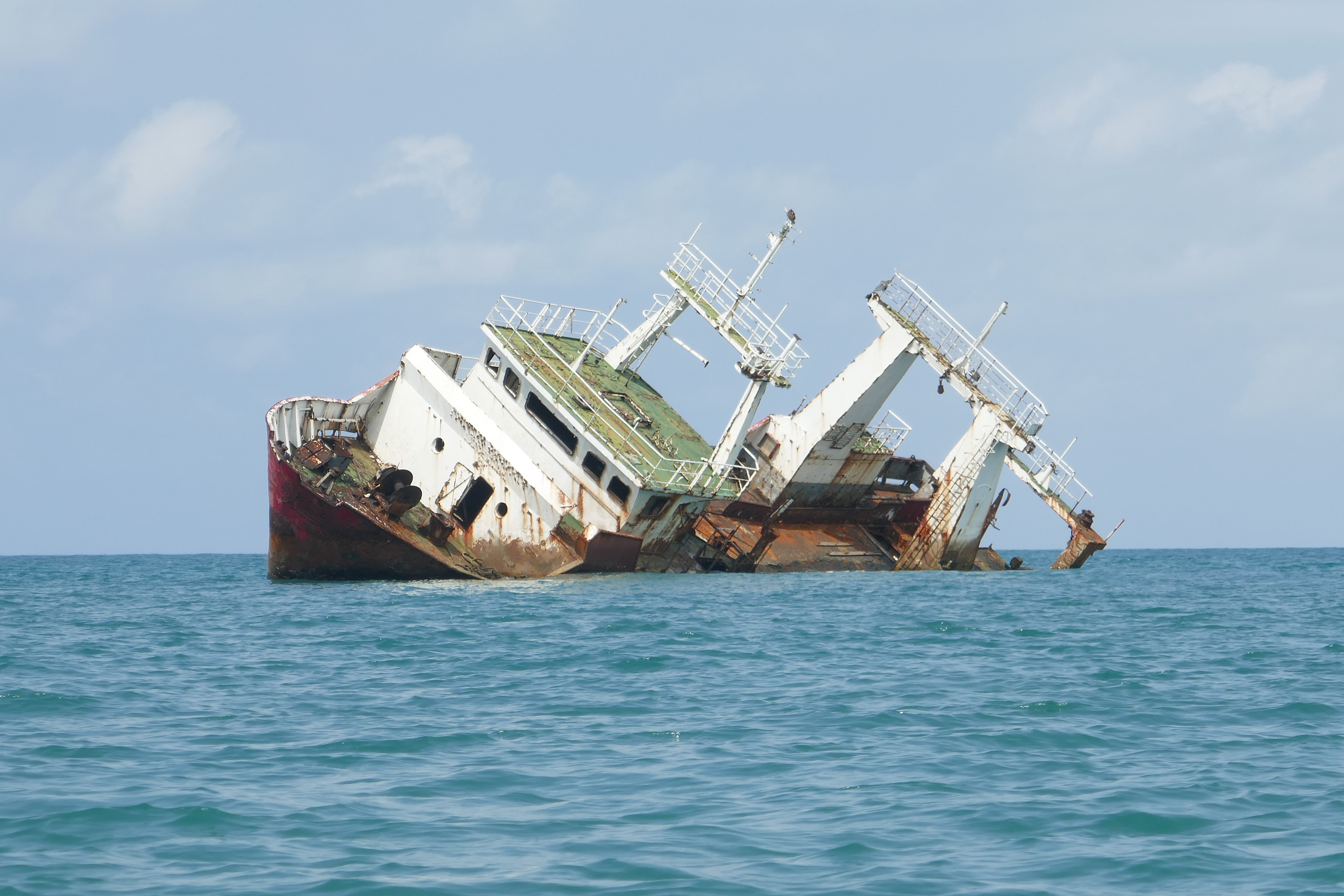 Nos bateaux en bois qui naviguent !