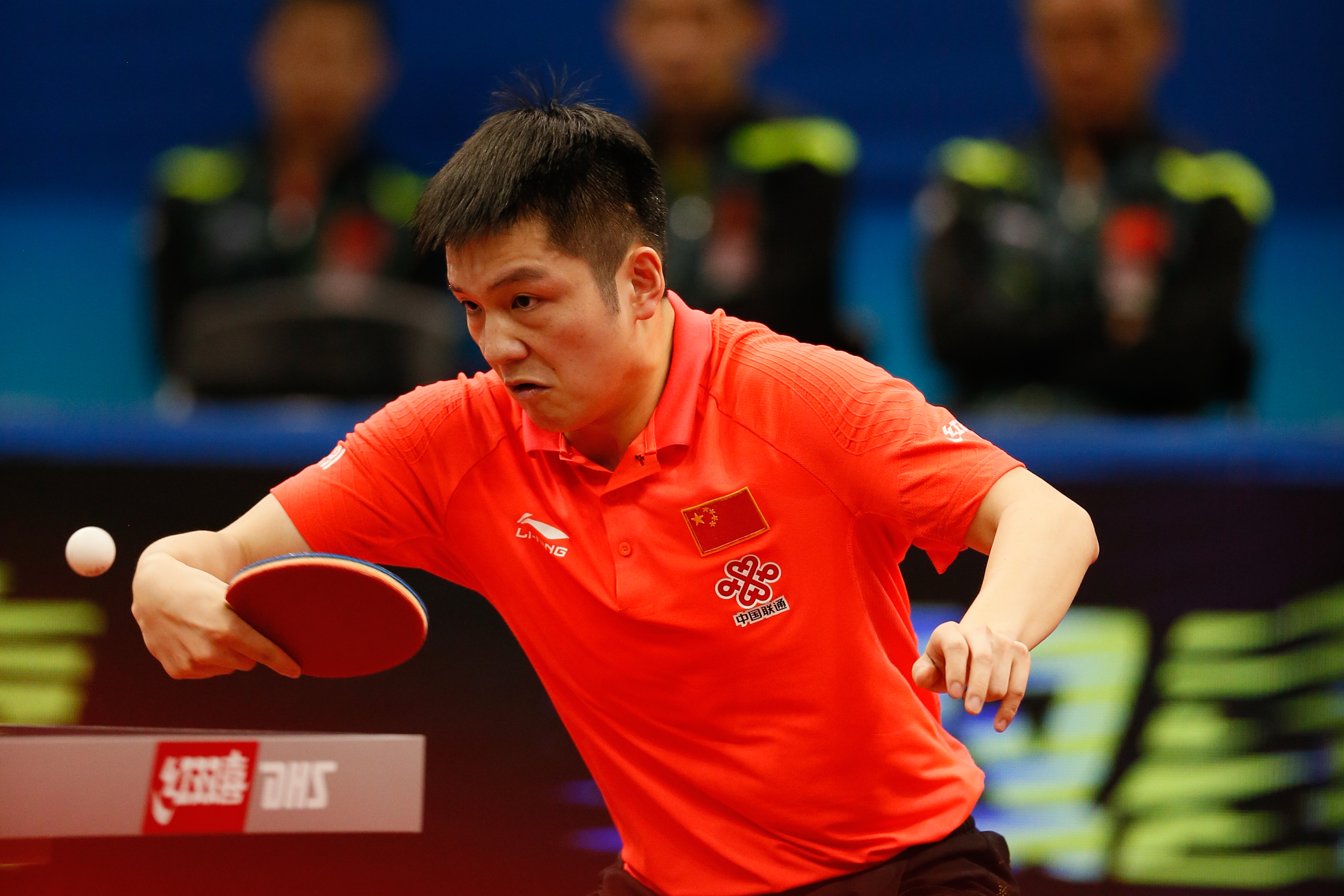 Fan zhendong