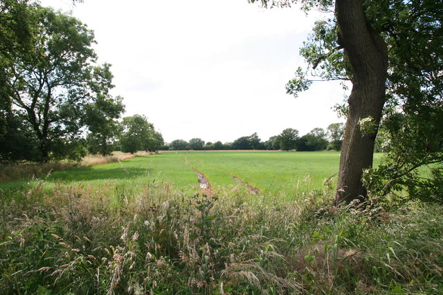 File:Fields to the west of Carr Lane, Eastrington - geograph.org.uk - 5037369.jpg