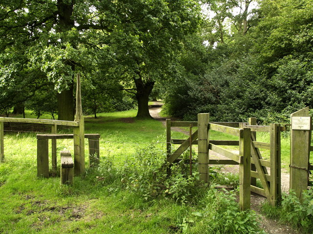 File Footpath through Burton Bushes geograph 514760.jpg