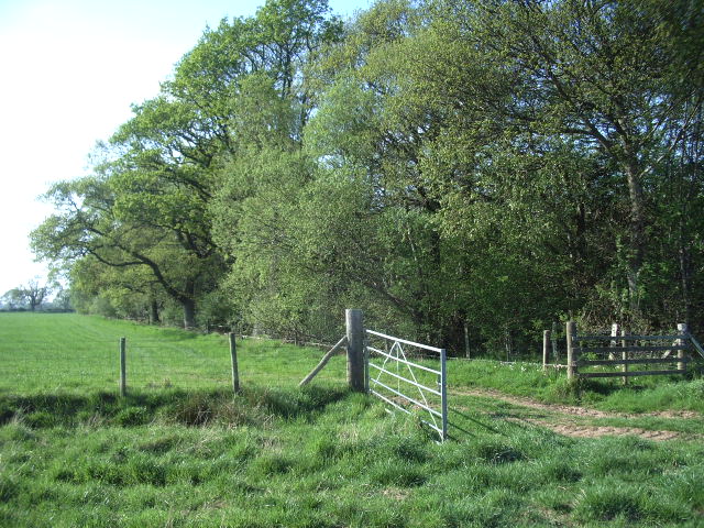 File:Gate - geograph.org.uk - 168762.jpg