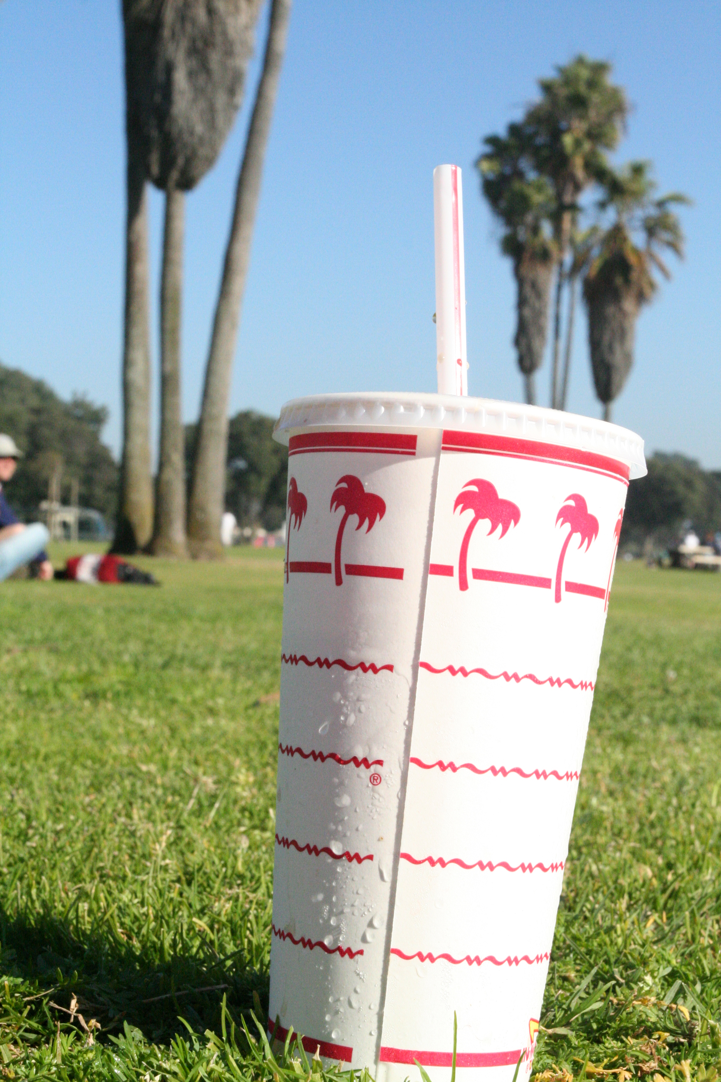 Regular size cup - Picture of In-N-Out Burger, Cedar Park - Tripadvisor