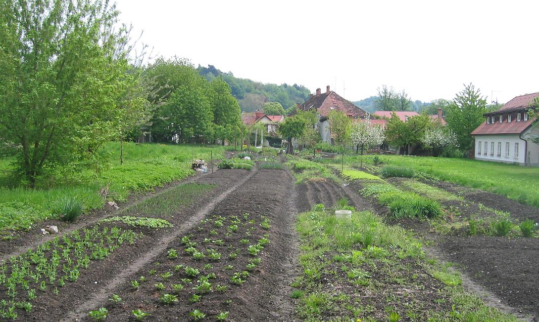 Krakovo-Ljubljana.JPG