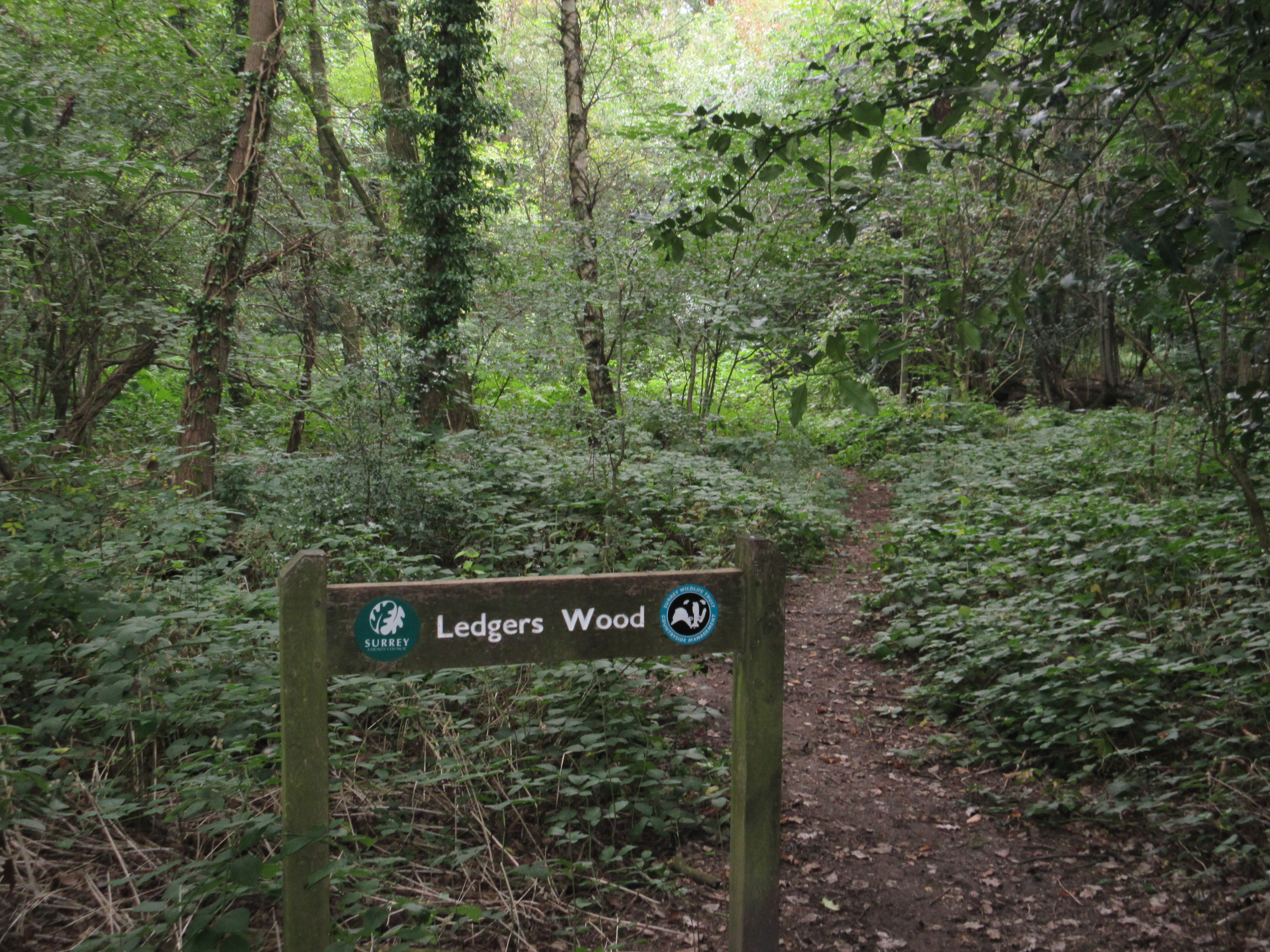 Ledgers Wood