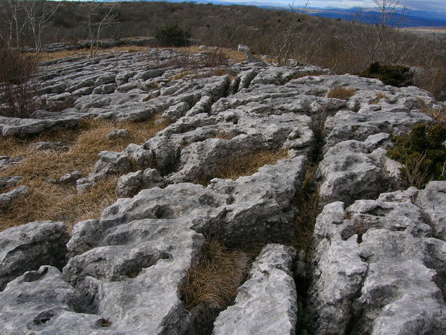 Limestone pavement on Hutton Roof Crags - geograph.org.uk - 1757515