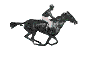 File:Muybridge race horse ~ big transp.gif