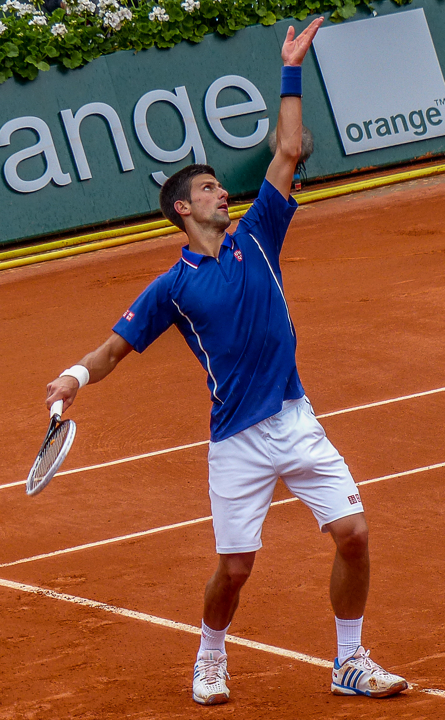 File Novak Ä'okovic Roland Garros 2013 004 Jpg Wikimedia Commons