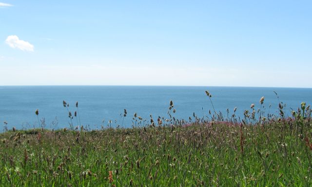 File:Over a field to the sea - geograph.org.uk - 860166.jpg