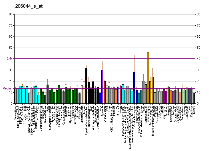 File:PBB GE BRAF 206044 s at fs.png