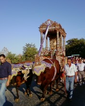 File:Romería Soledad de albaida.jpg