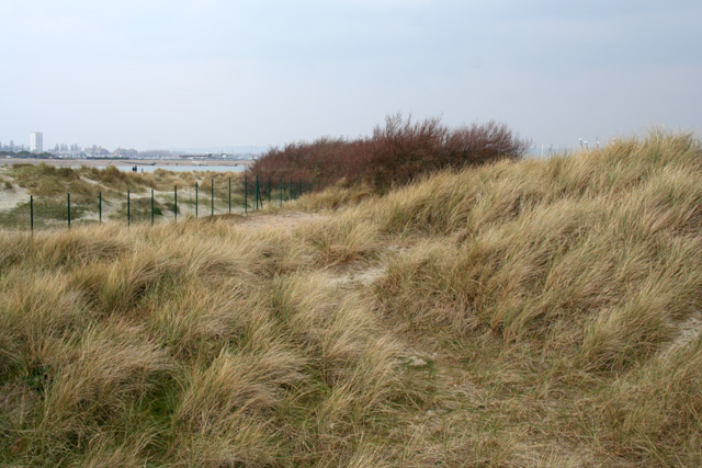 Sand dunes on Sinah Common - geograph.org.uk - 378614