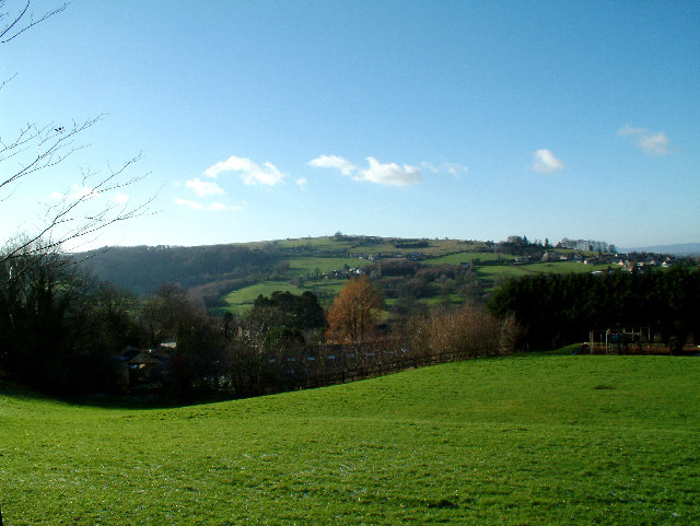 Selsley Common from Rodborough - geograph.org.uk - 39797