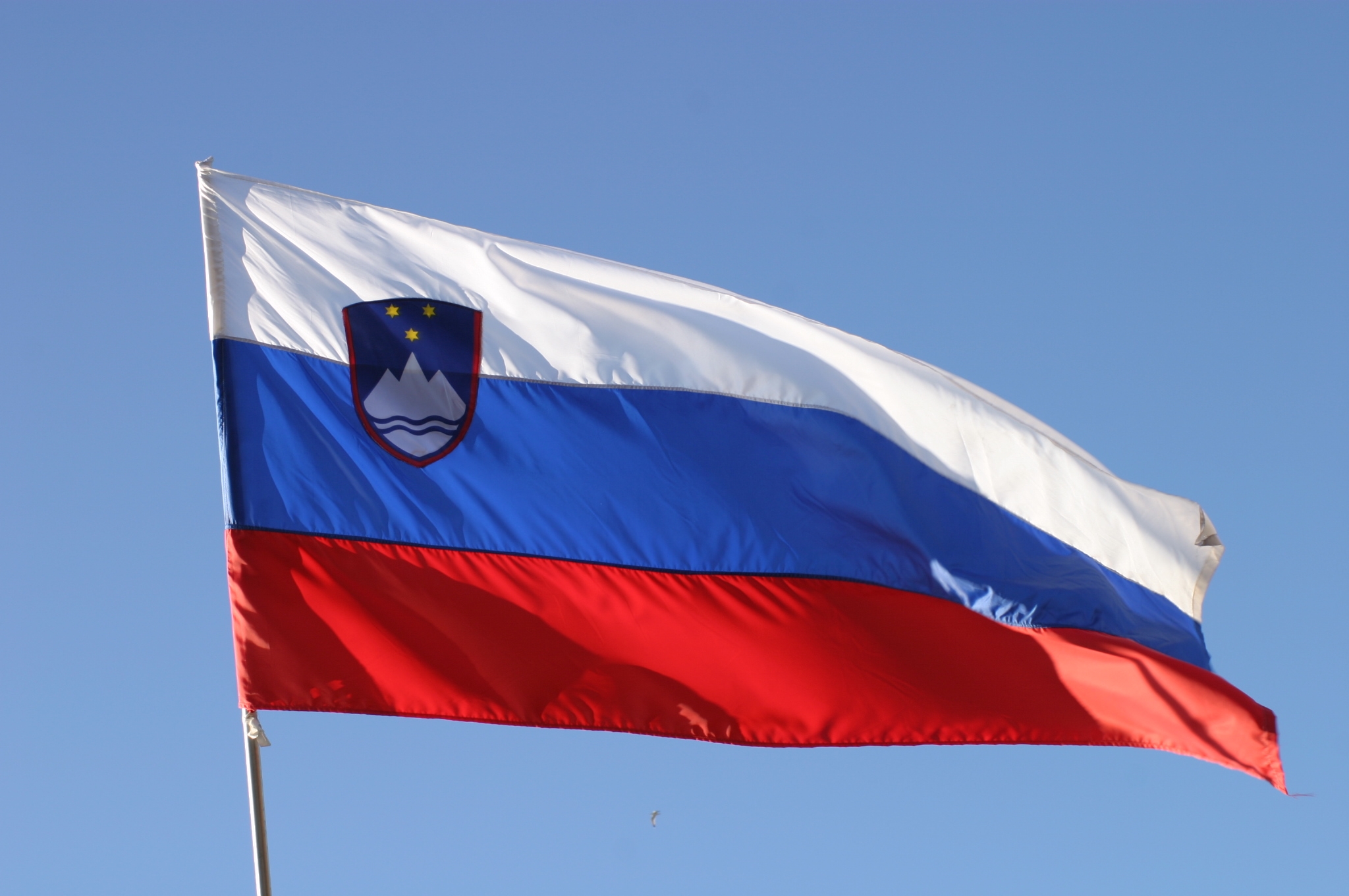 Rezultat iskanja slik za zgodovinski simboli slovenije