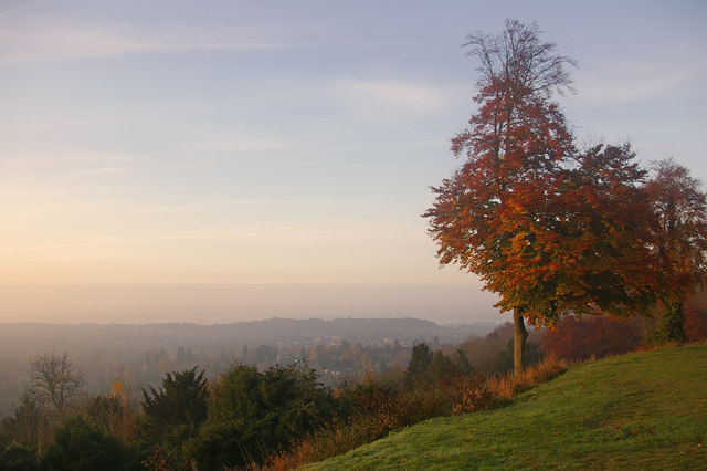 Sunrise at Reigate Hill - geograph.org.uk - 603818