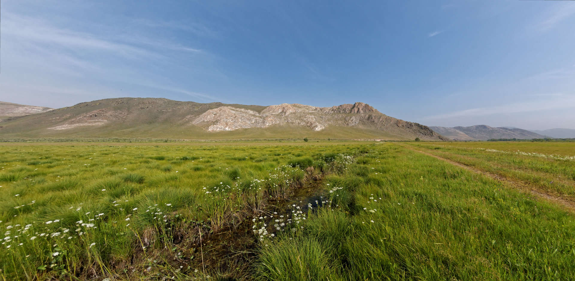 Равнины Монголии
