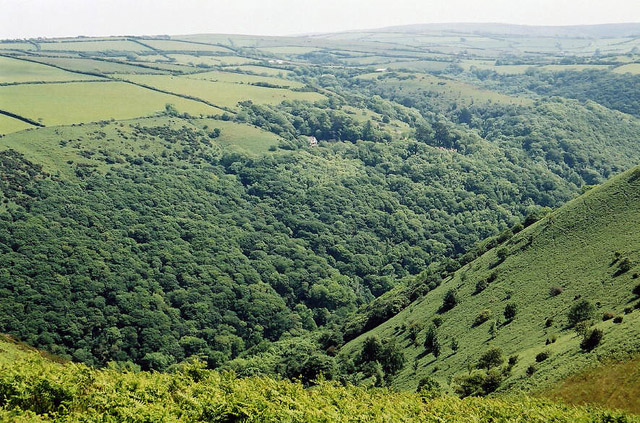 File:Trentishoe, looking south over the Heddon Valley - geograph.org.uk - 49265.jpg