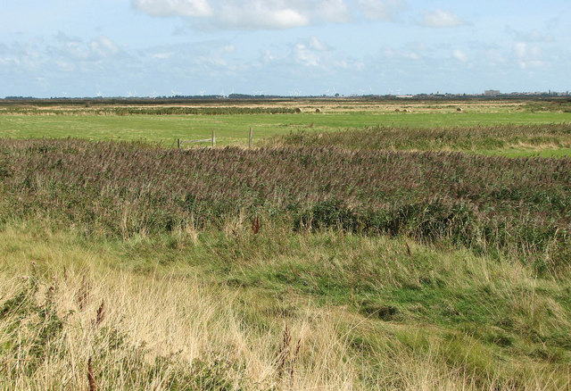 View across Burgh Castle Marshes - geograph.org.uk - 1484278