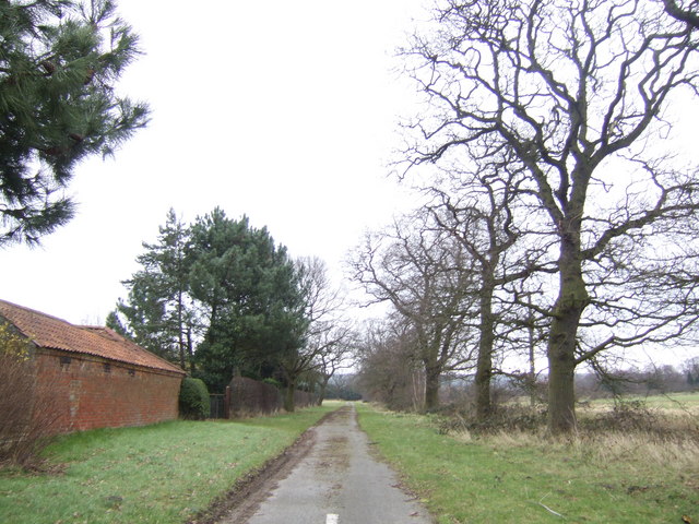 File:Abandoned lane - geograph.org.uk - 327447.jpg