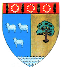 Fişier:Actual Teleorman county CoA.png