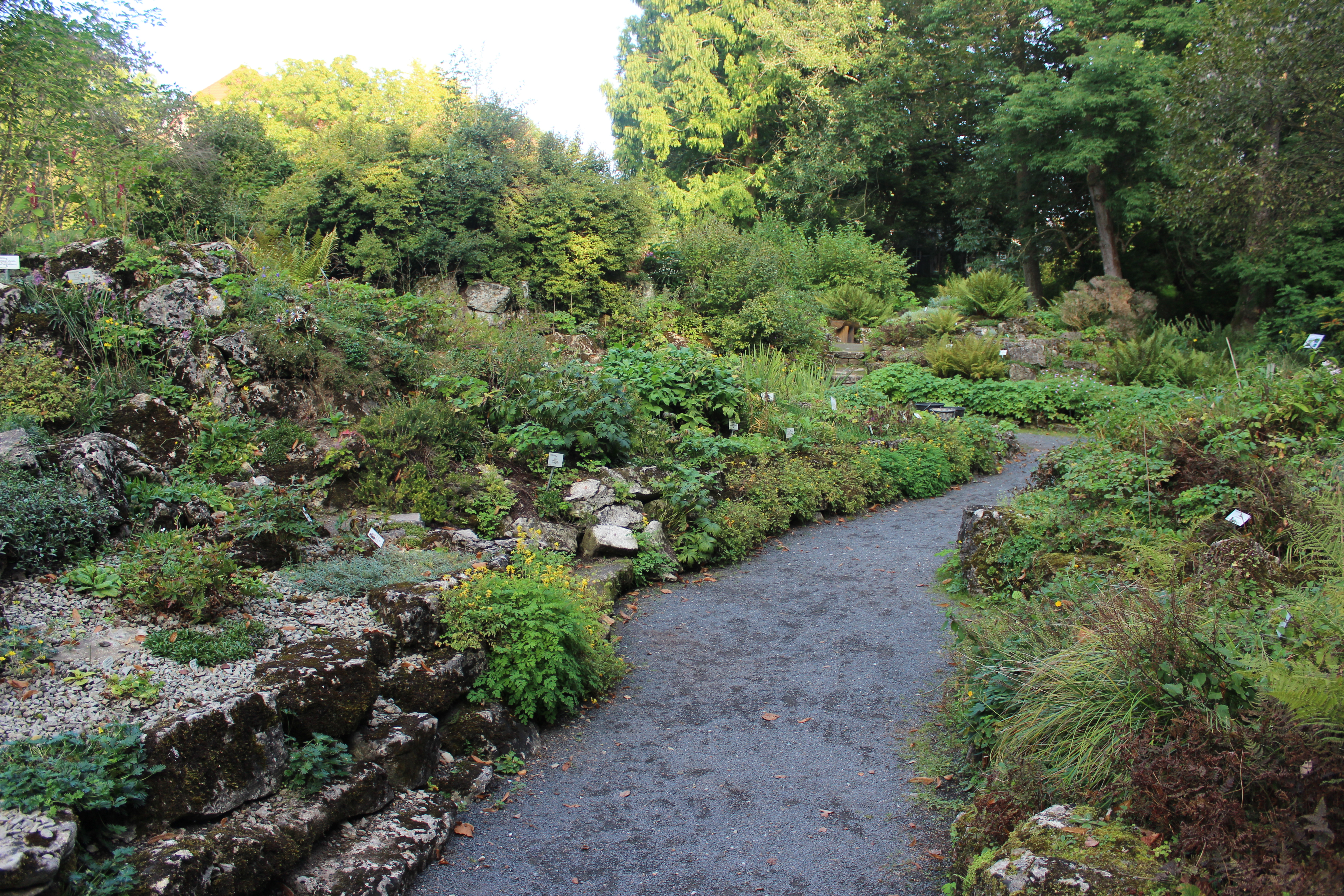 File Alter Botanischer Garten Gottingen Jpg Wikimedia Commons